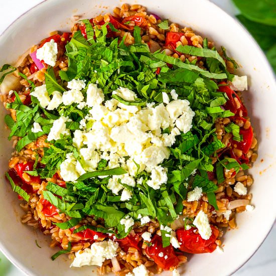 Farro Tomato Salad