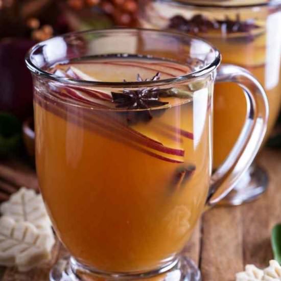 Easy Mulled Cider Slow Cooker