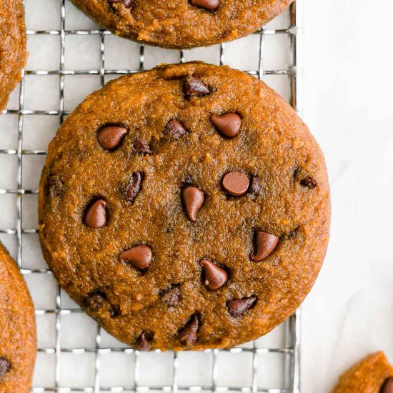 Pumpkin Chocolate Chip Cookies