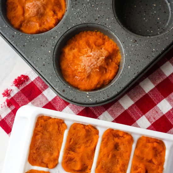 How to Freeze Canned Pumpkin Puree