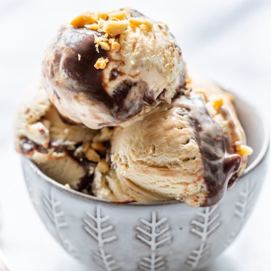 Peanut Butter Fudge Ripple IceCream