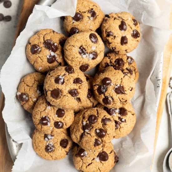 Peanut Butter Chocolate Chip Cookie