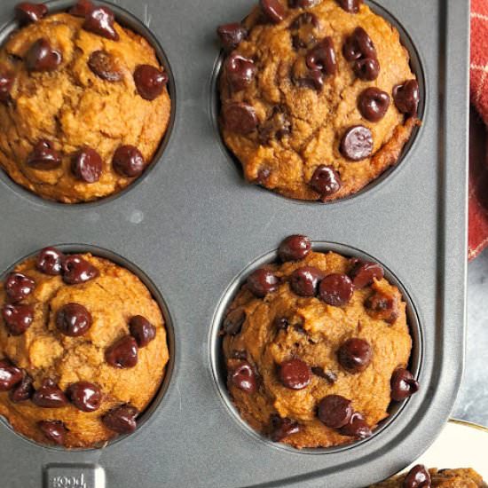 Pumpkin Chocolate Chip Muffins