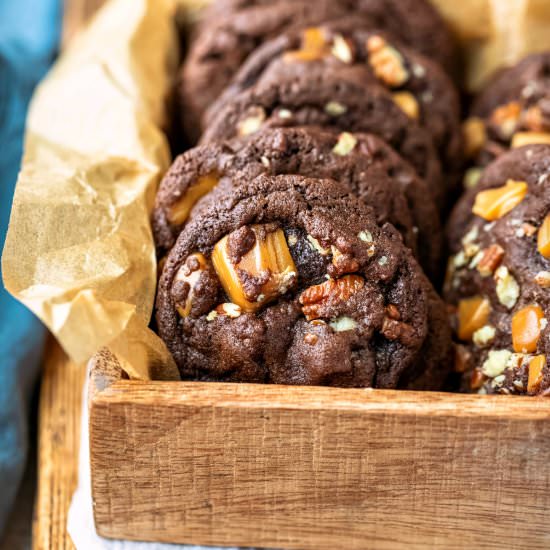 Turtle Cookies