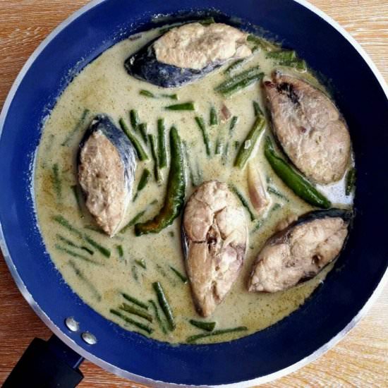 Thai Fish Green Curry