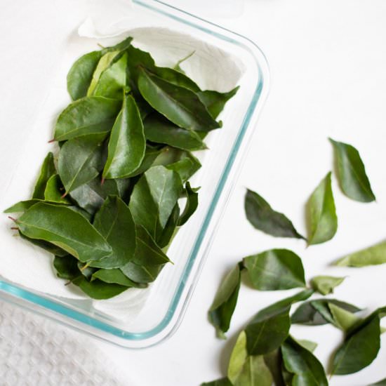How to Store Curry Leaves