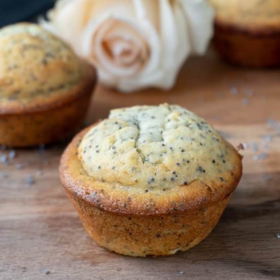 Poppyseed Muffins