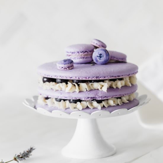 Blueberry Lavender Macaron Cake