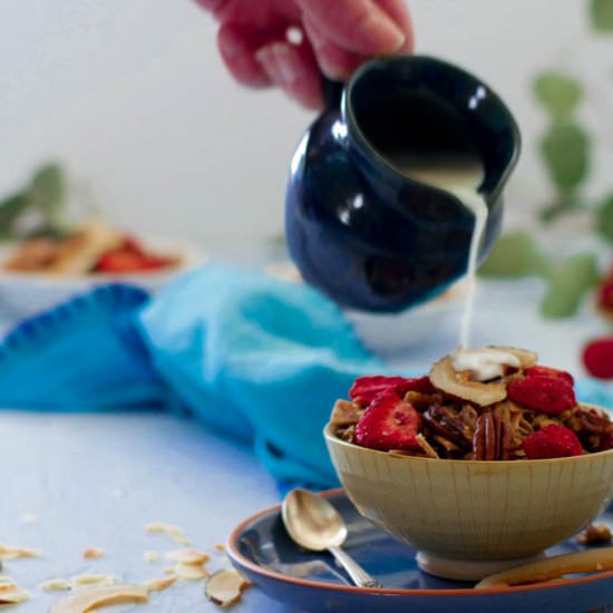 Low Carb Berry Granola