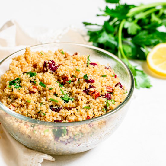 Vegan Cranberry Quinoa Salad