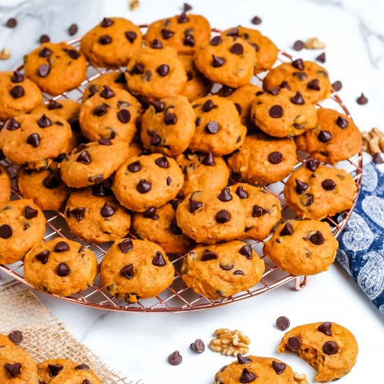 Soft Pumpkin Chocolate Chip Cookies