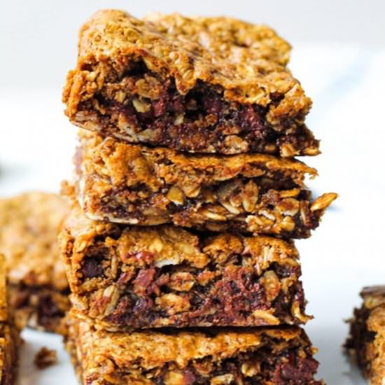 Chocolate Hazelnut Oat Bars