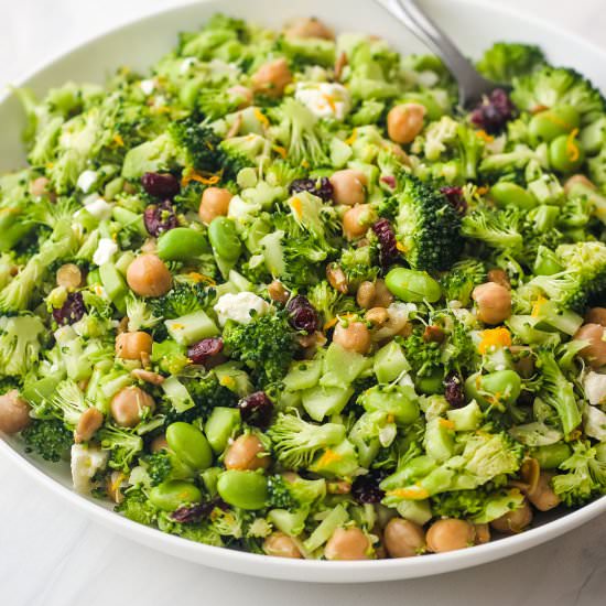 Vegetarian Broccoli Salad
