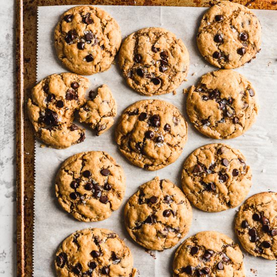 Pumpkin Chocolate Chip Cookies
