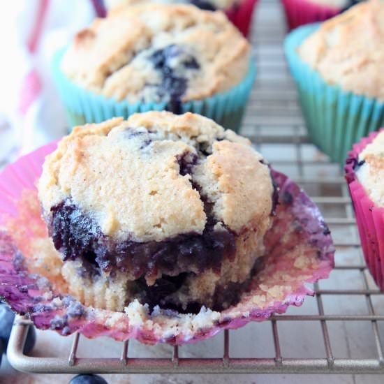 Low Carb Blueberry Muffins