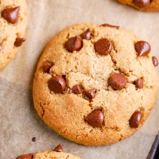 Paleo Tahini Chocolate Chip Cookies