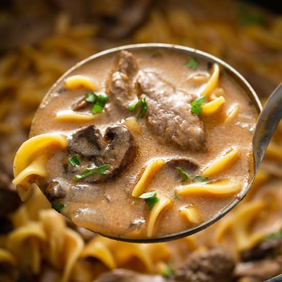 Beef Stroganoff Soup