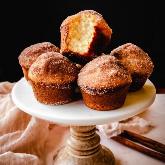 Cinnamon Sugar Donut Muffins
