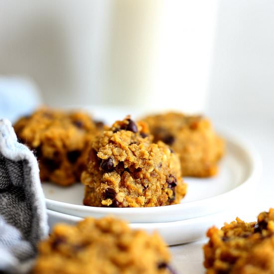 Pumpkin Breakfast Cookies (GF)