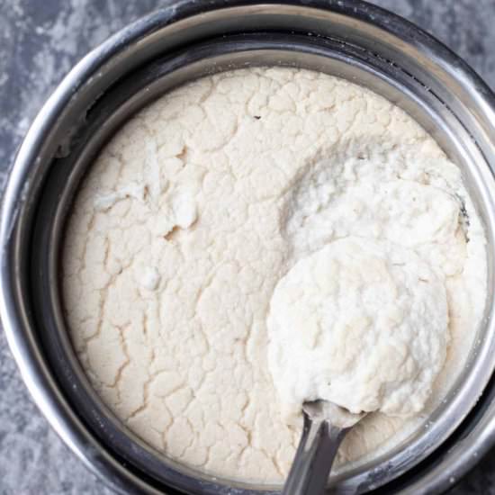 INSTANT POT IDLI BATTER