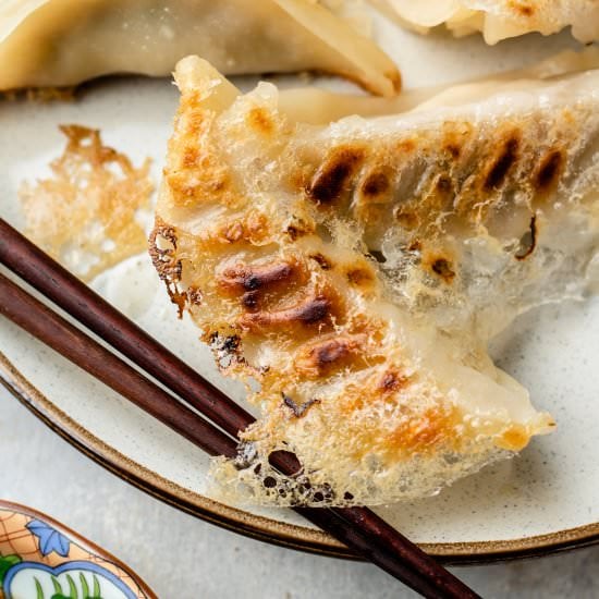 crispy gyoza with wings (vegan)