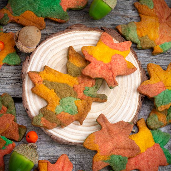 GALLETAS OTOÑALES