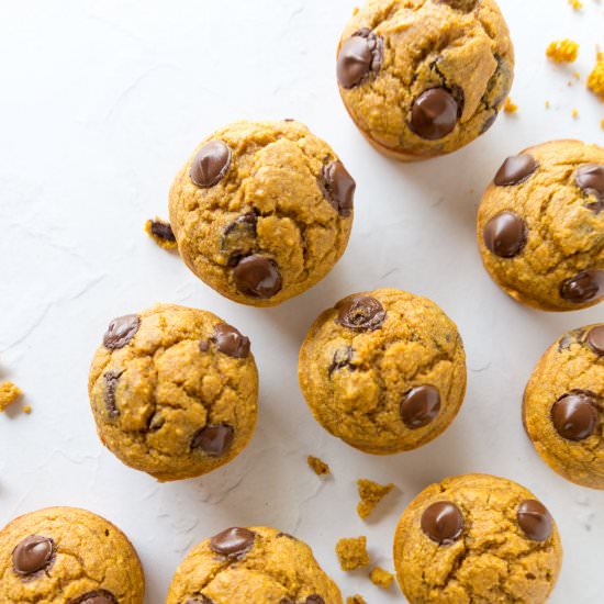 Chocolate Chip Pumpkin Muffins