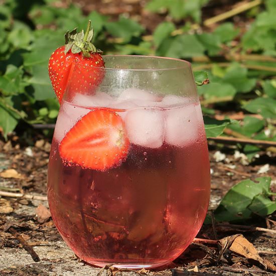 Pink Gin Spritz with Gordon’s Pink