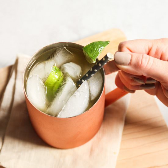 Apple Cider Ginger Beer Mule Cocktail