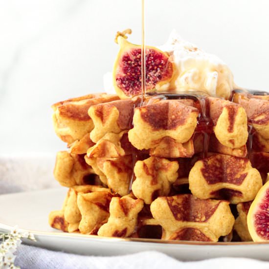 Pumpkin Protein Waffles