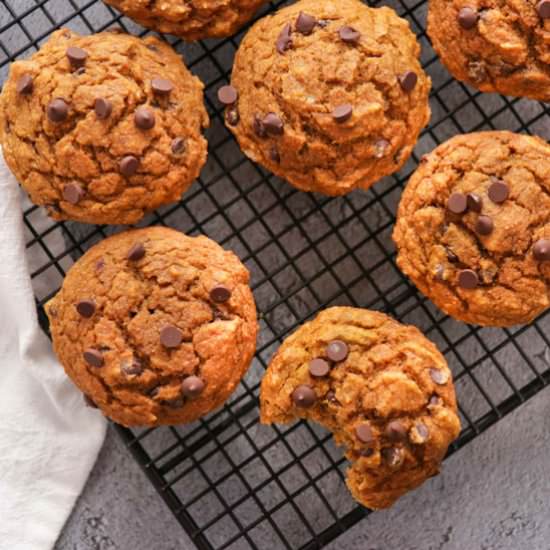 Chocolate Chip Pumpkin Muffins