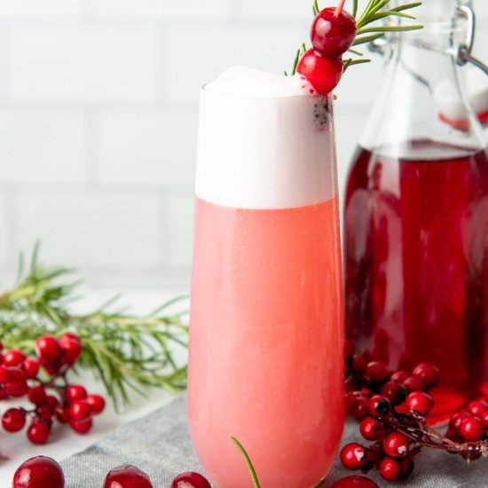 Holiday Cranberry Gin Fizz Cocktail