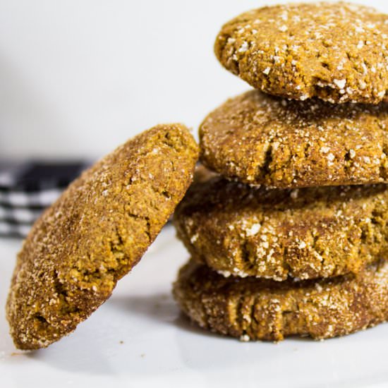 Low Carb Keto Snickerdoodle Cookies