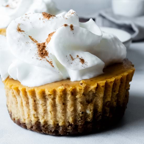 mini pumpkin cheesecakes
