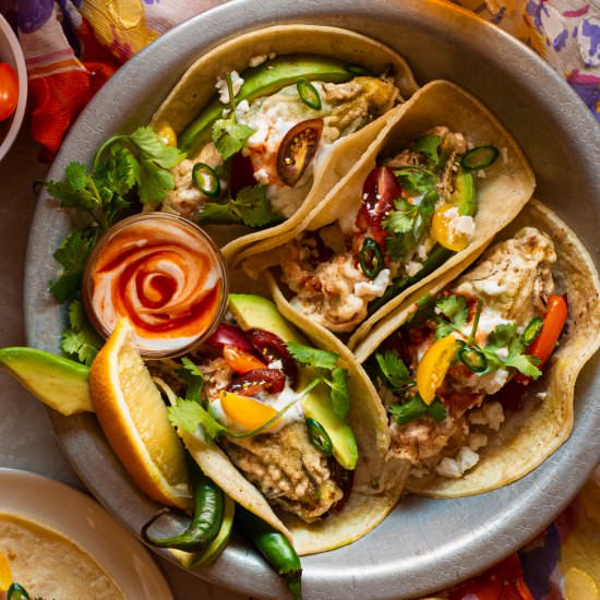 Spicy Chicken Squash Blossom Tacos