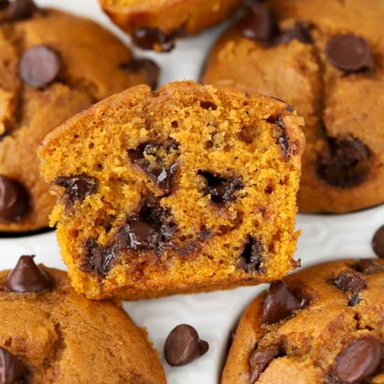 Pumpkin Chocolate Chip Muffins
