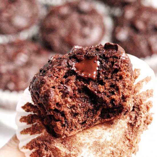 Chocolate Peanut Butter Muffins