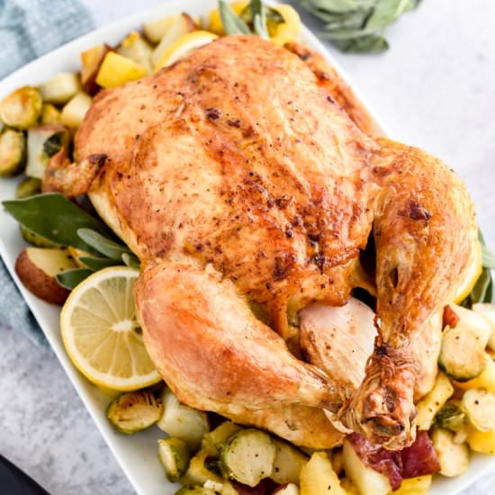 Juicy Brined Chicken and Vegetables