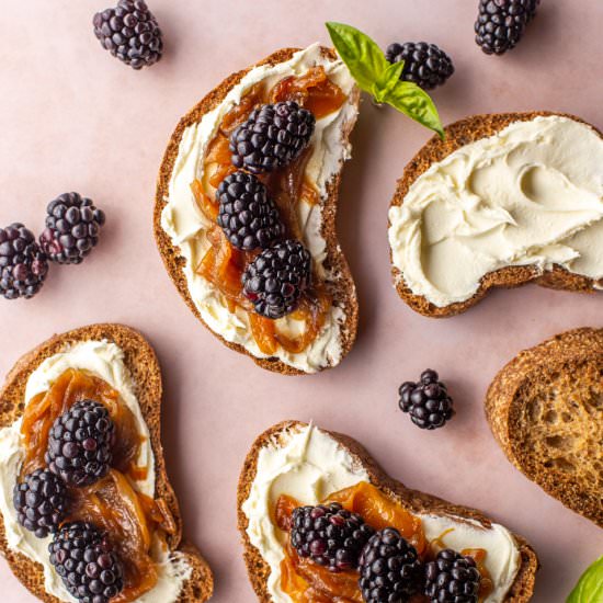 Caramelized Onion & Berry Crostini