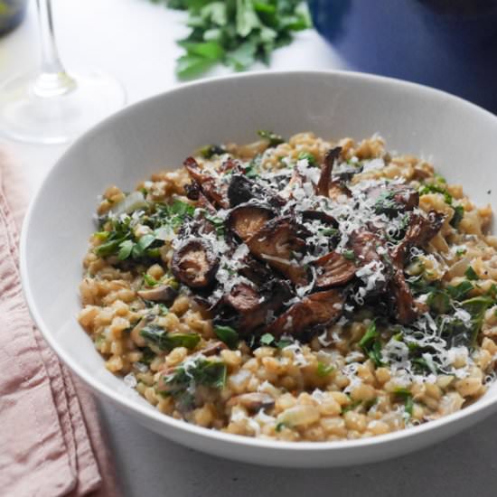 Mushroom Pearl Barley Risotto