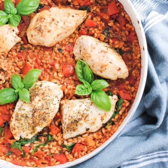 One Skillet Chicken and Farro