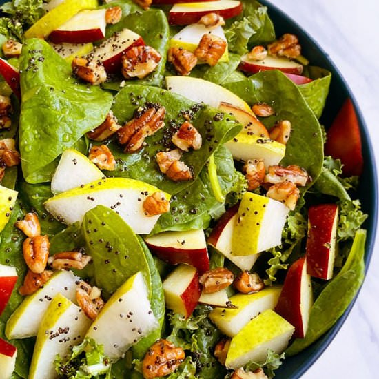 Thanksgiving Salad