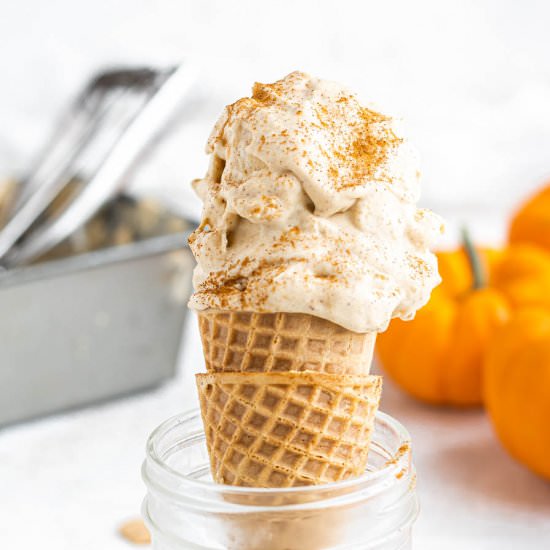 Dairy Free Pumpkin Ice Cream