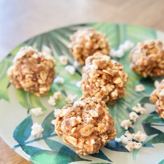 Popped Sorghum Protein Balls