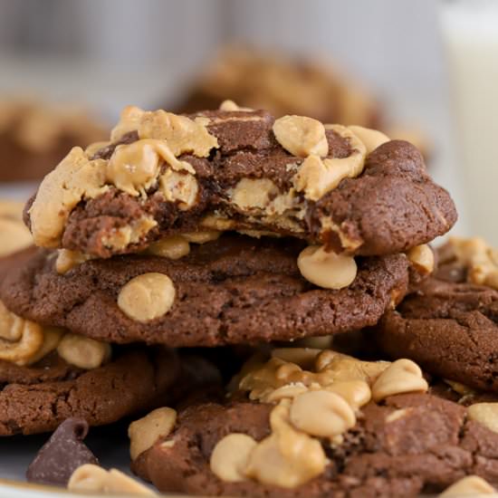 Chocolate Peanut Butter Cookies