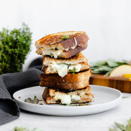 Goat Grilled Cheese with Sage