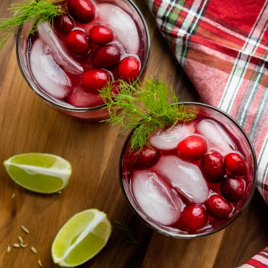 Cranberry Fennel Margaritas
