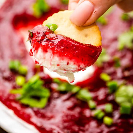 Cream Cheese Cranberry Dip
