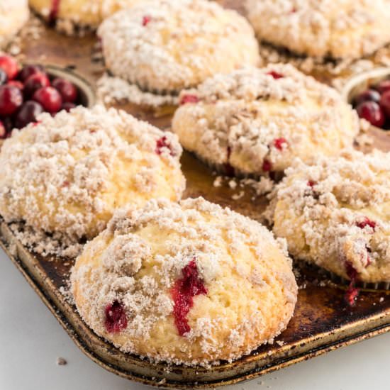 Cranberry Muffins