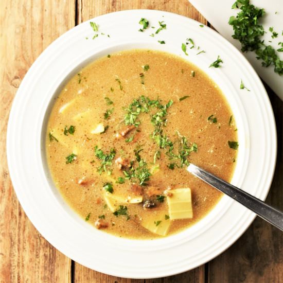 Polish Wild Mushroom Soup